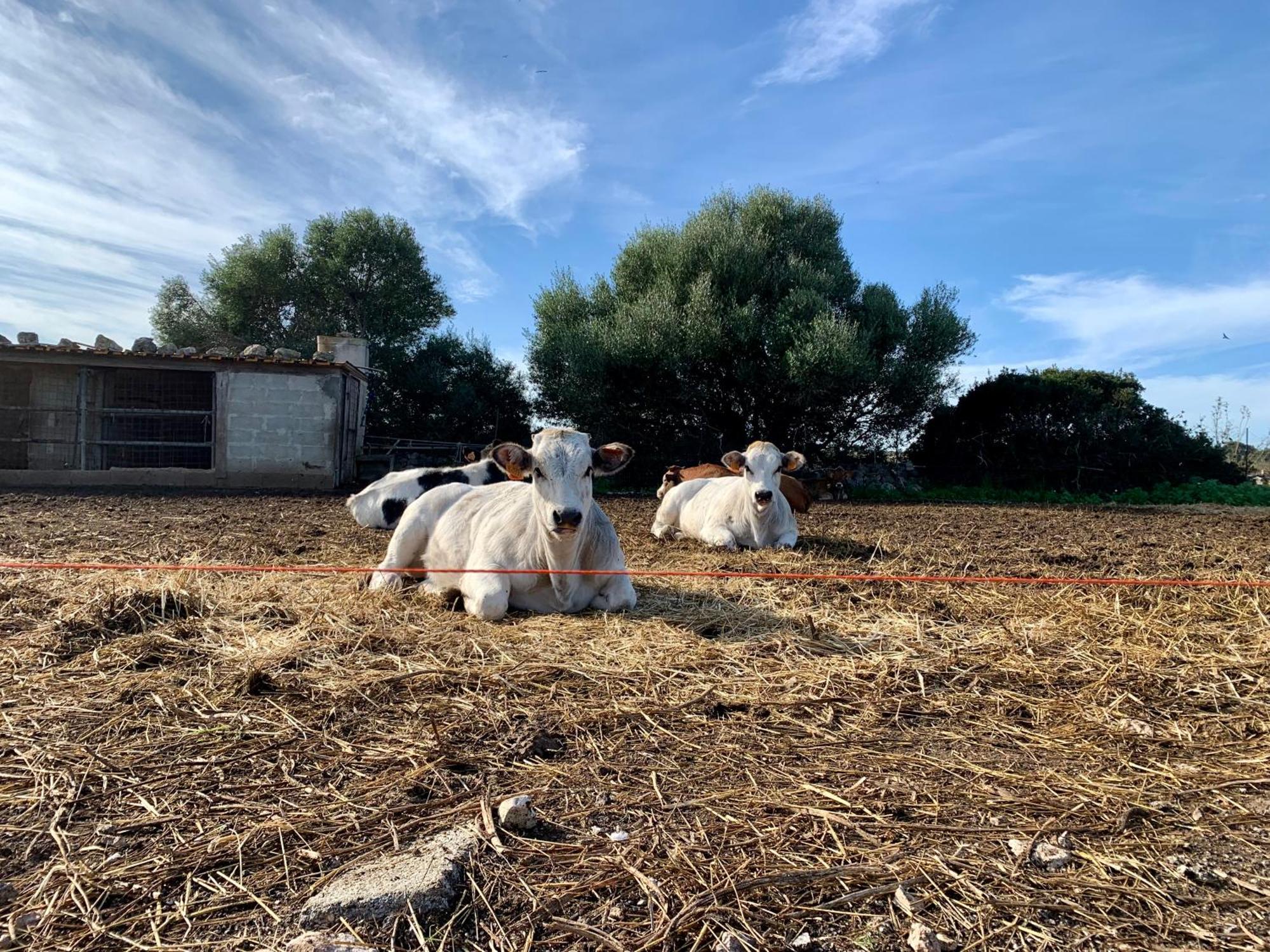 Portopalo Di Capo Passero Cozzo Spadaro B&B מראה חיצוני תמונה